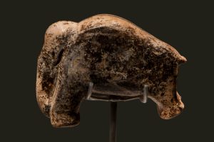 Geschnitztes Mammut aus Mammutelfenbein, gefunden in der Vogelherdhöhle im Lonetal auf der Schwäbischen Alb.©Thilo Parg / Wikimedia CommonsLizenz CC-BY-SA-3.0
